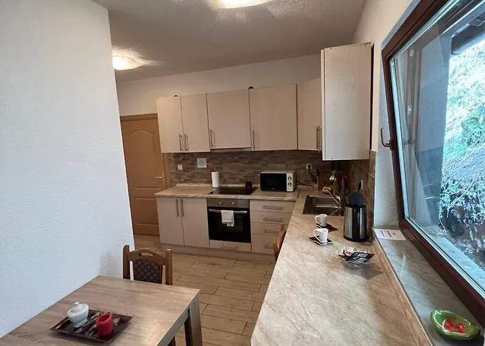 Pensionat Stari Grad *